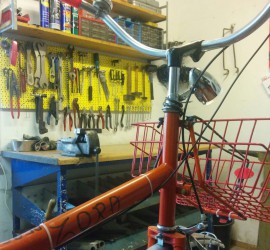 Zora - Angebote von, für und mit euch